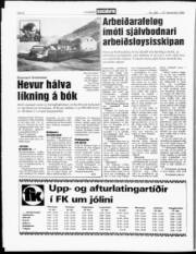 Síða 8
