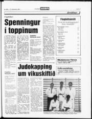 Síða 17