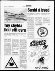 Síða 3