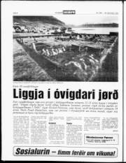Síða 4