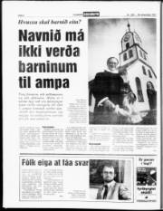 Síða 6