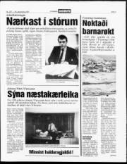 Síða 3