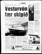 Síða 8