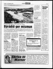 Síða 11
