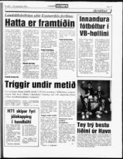 Síða 15