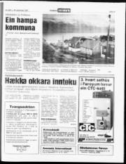 Síða 17