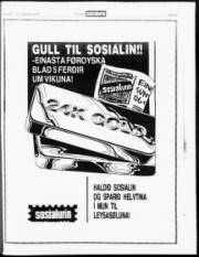 Síða 19