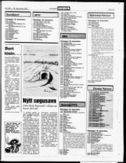 Síða 23
