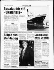 Síða 3