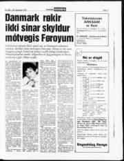 Síða 11