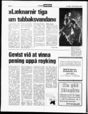 Síða 12