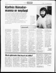 Síða 16