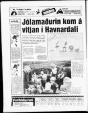 Síða 20