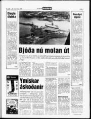 Síða 3