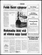 Síða 5