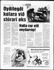 Síða 7