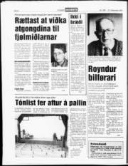 Síða 8
