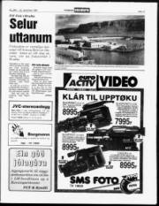 Síða 11