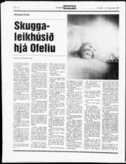 Síða 17