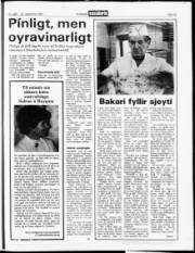 Síða 24