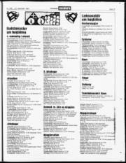 Síða 27