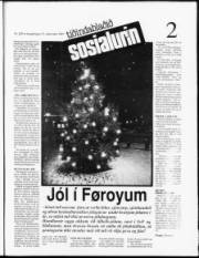 Síða 29