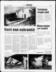 Síða 3
