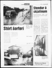 Síða 4