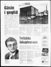 Síða 6