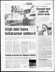 Síða 8