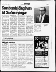 Síða 19