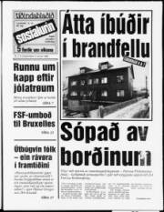 Síða 1