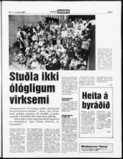 Síða 3