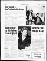Síða 4