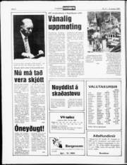 Síða 8