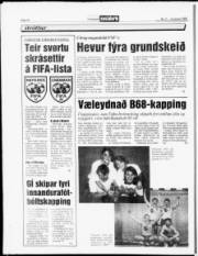 Síða 14