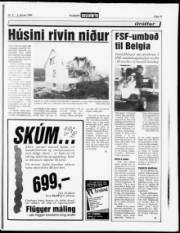 Síða 15