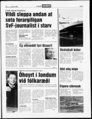 Síða 3