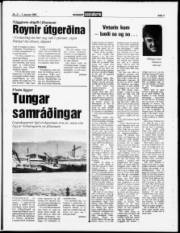 Síða 7