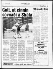 Síða 15