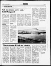 Síða 17