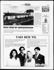 Síða 3