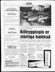 Síða 8