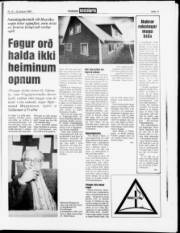 Síða 11