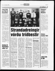 Síða 13