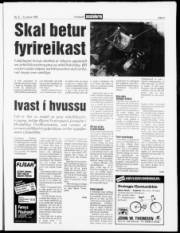 Síða 3