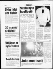 Síða 4