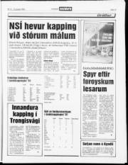 Síða 13