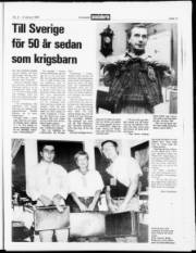 Síða 17