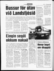 Síða 4